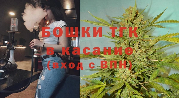стафф Алзамай