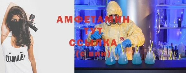 стафф Алзамай